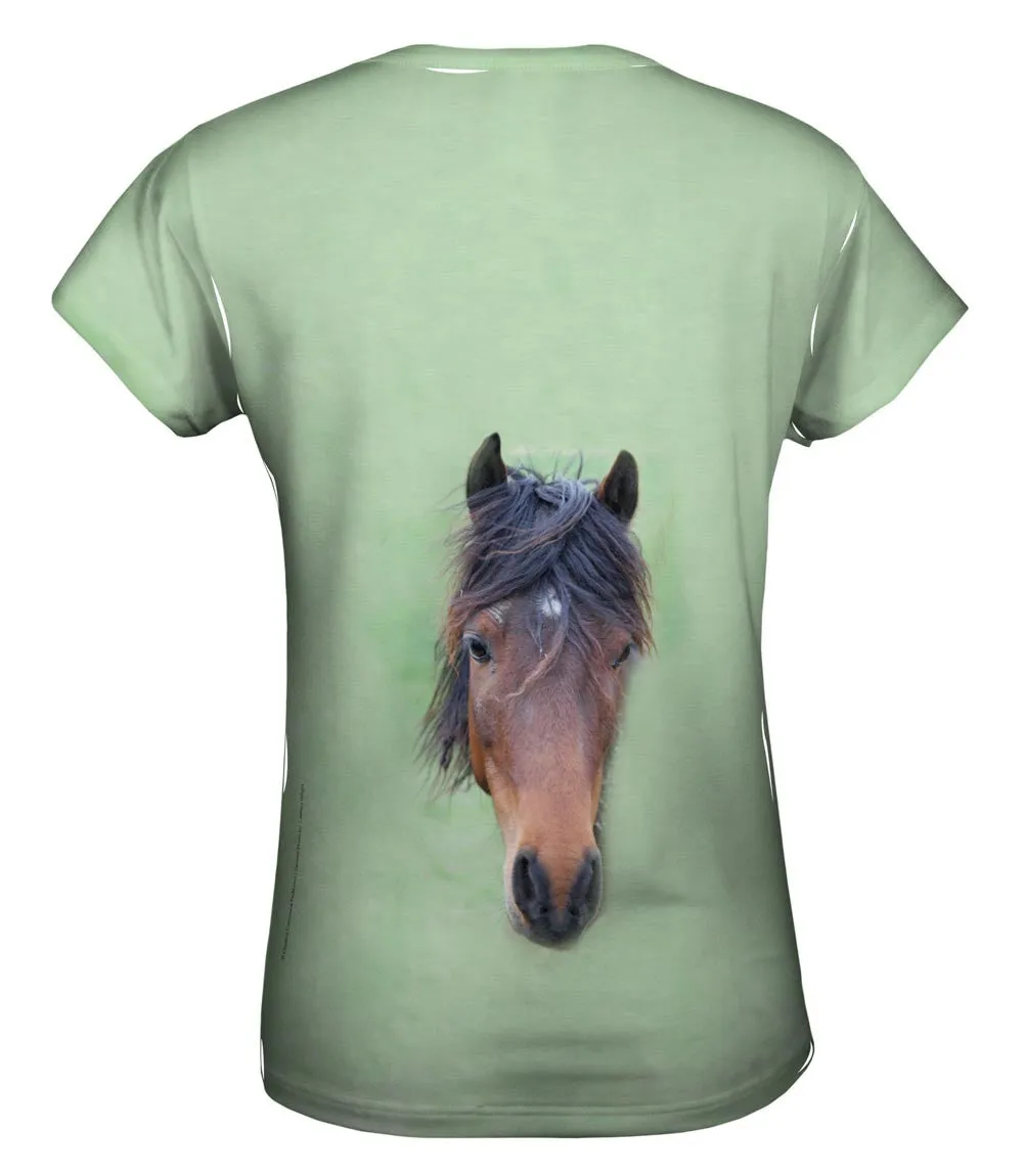 Bashful Horse