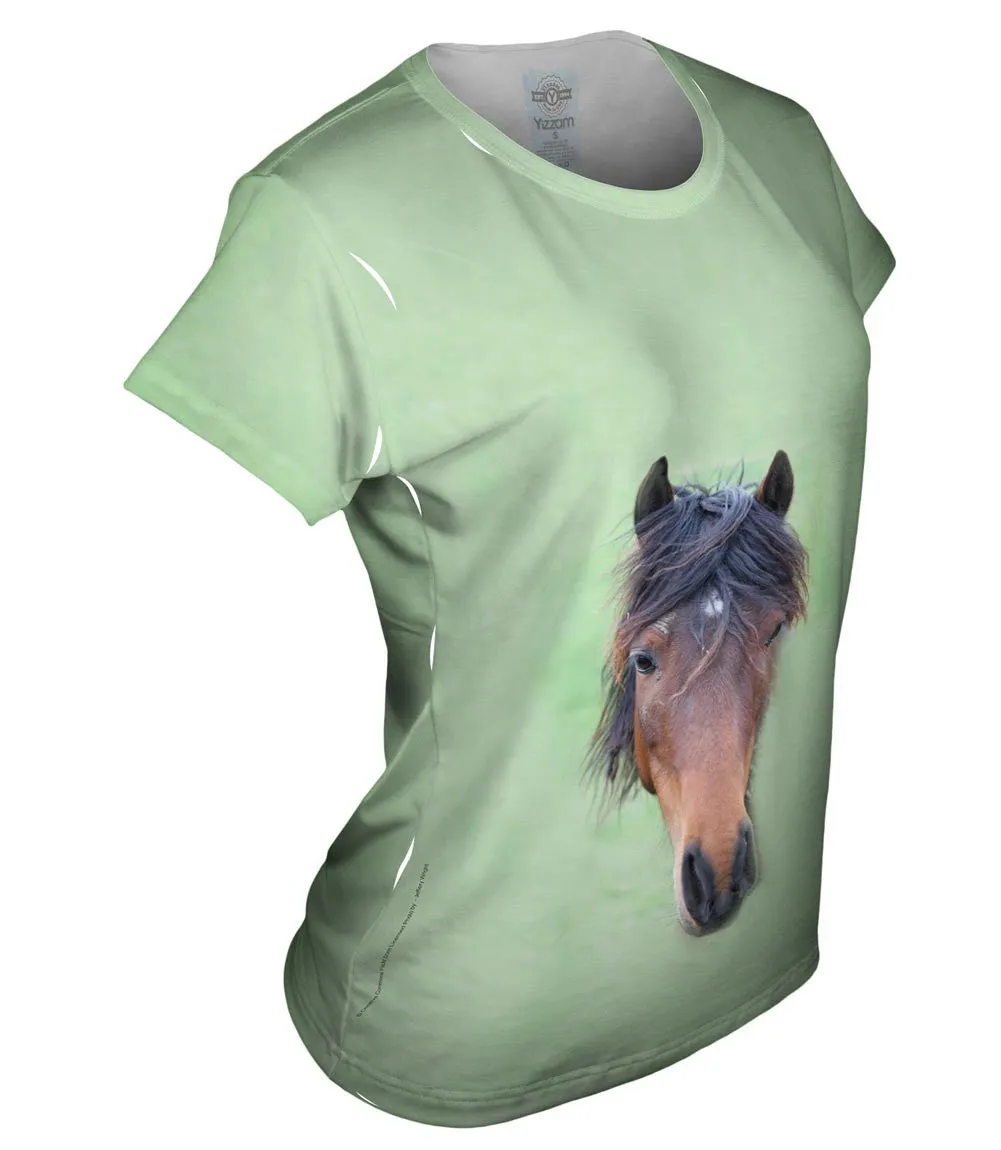 Bashful Horse