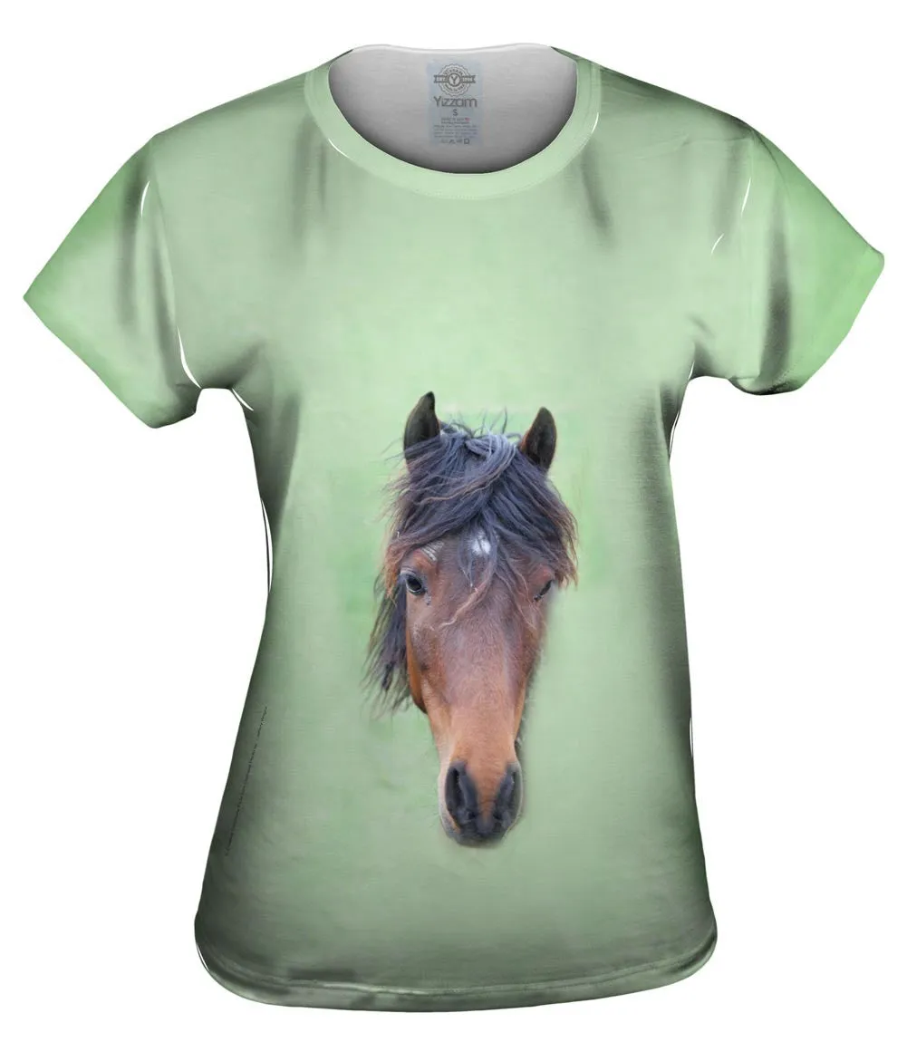 Bashful Horse