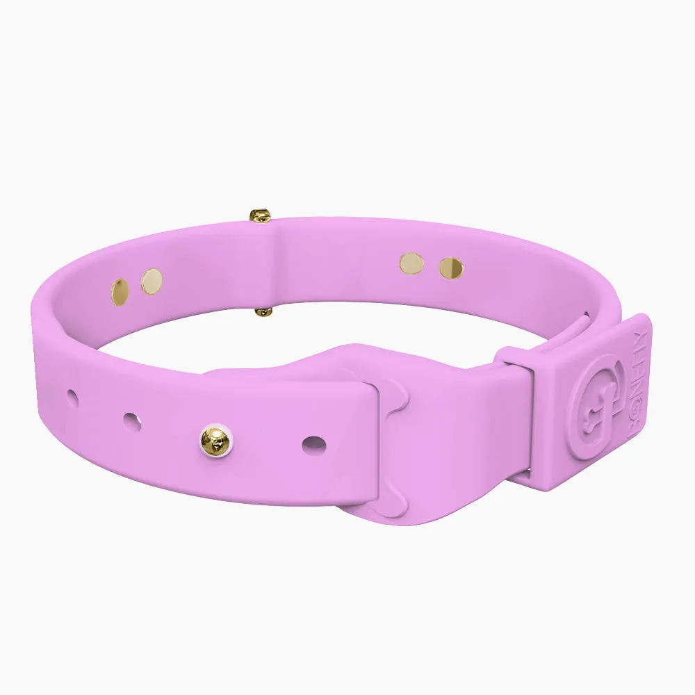Boneflex  Signature Gold Bones Collar