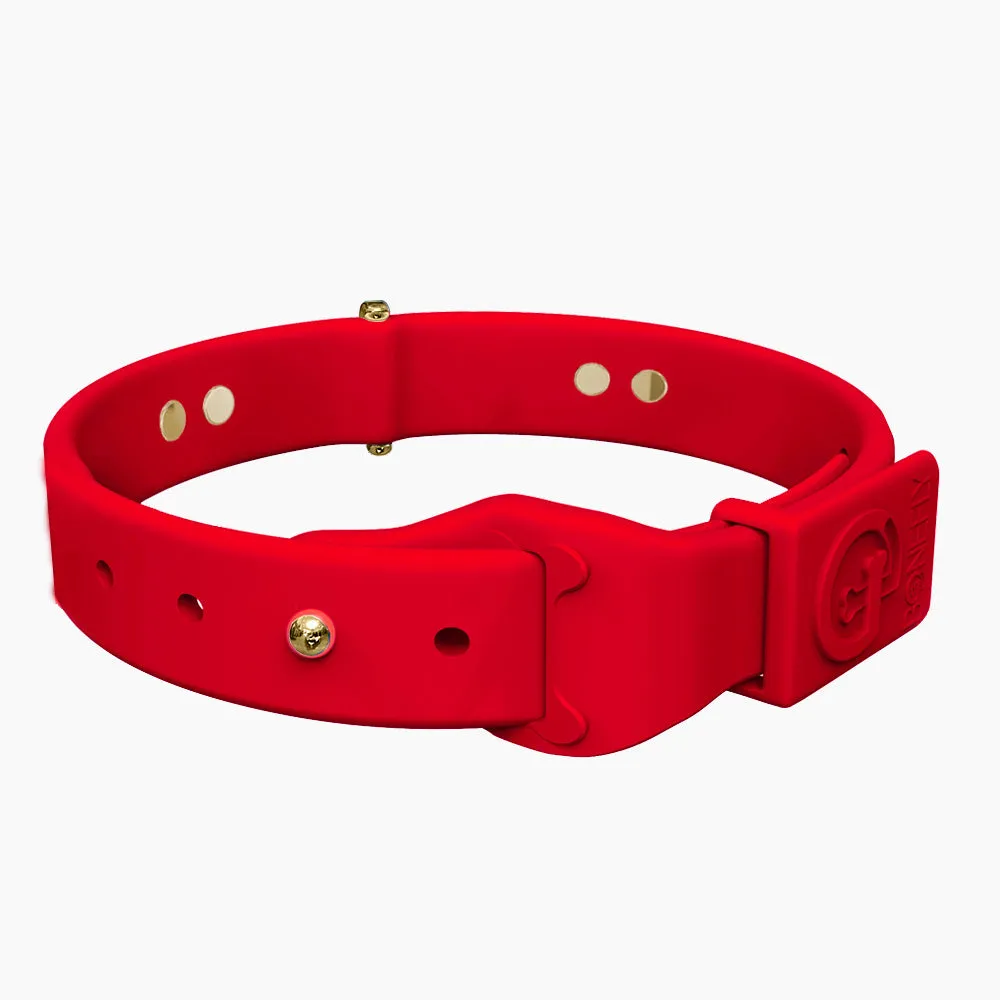 Boneflex  Signature Gold Bones Collar
