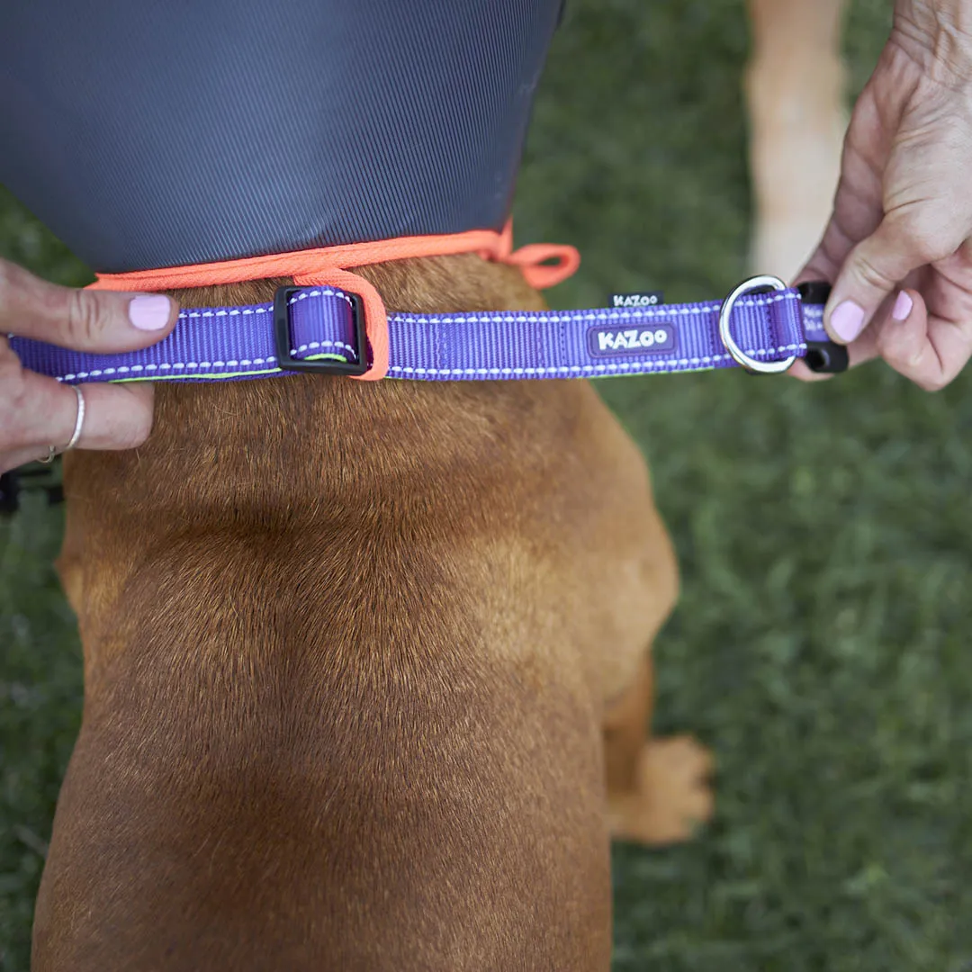 Comfy Recovery Collar