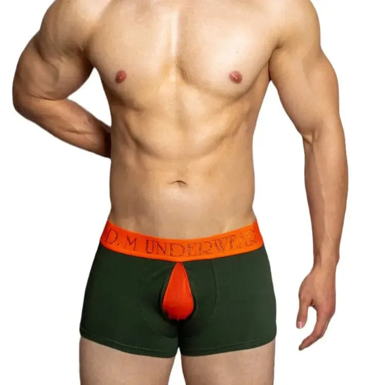 D.m Men's boxers underwear Letter Boxers