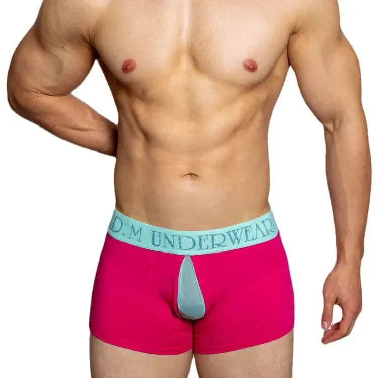 D.m Men's boxers underwear Letter Boxers