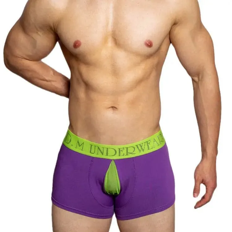 D.m Men's boxers underwear Letter Boxers