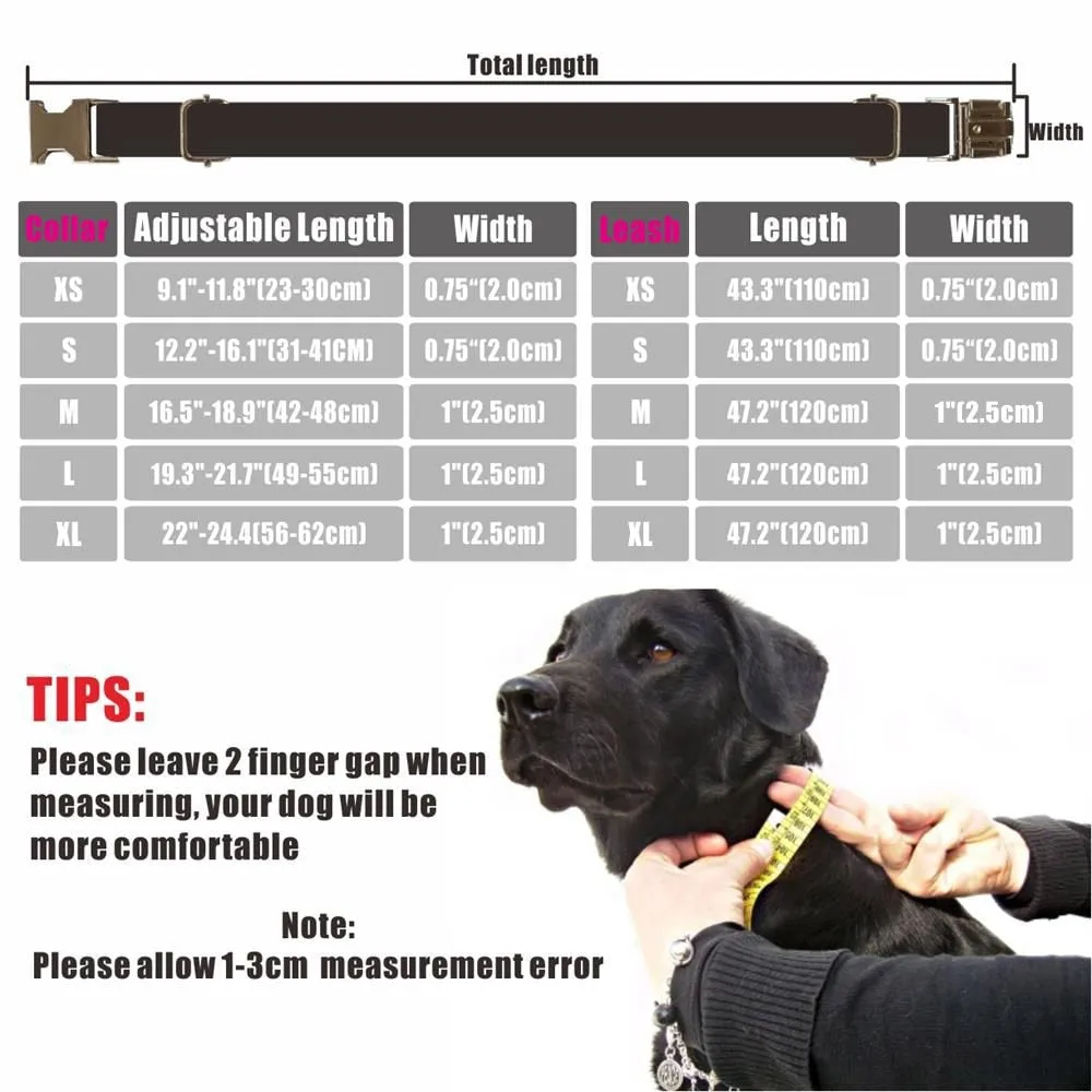 Engraved Buckle Dog Collar & Leash