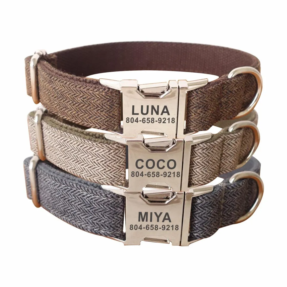 Engraved Buckle Dog Collar & Leash