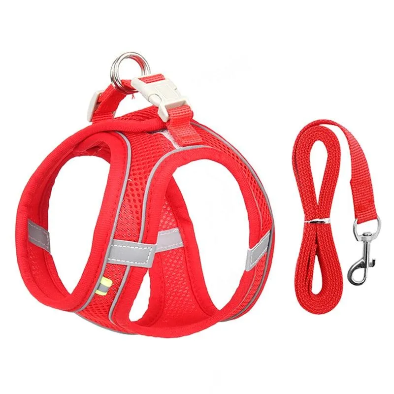 Escape Proof Cat Harness and Leash Set