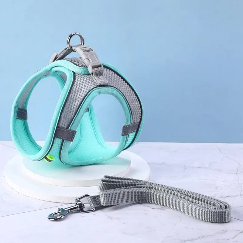 Escape Proof Cat Harness and Leash Set