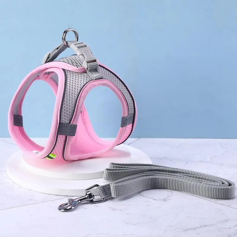 Escape Proof Cat Harness and Leash Set