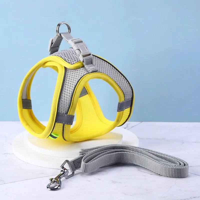 Escape Proof Cat Harness and Leash Set