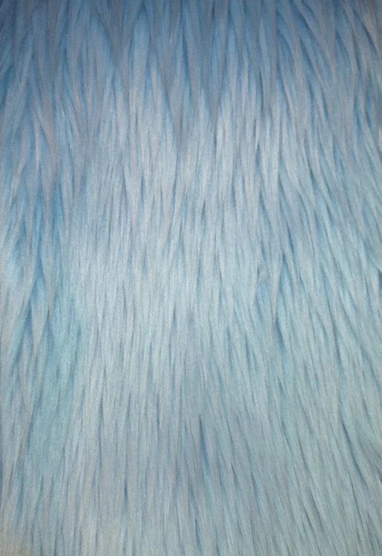 Fur Vest