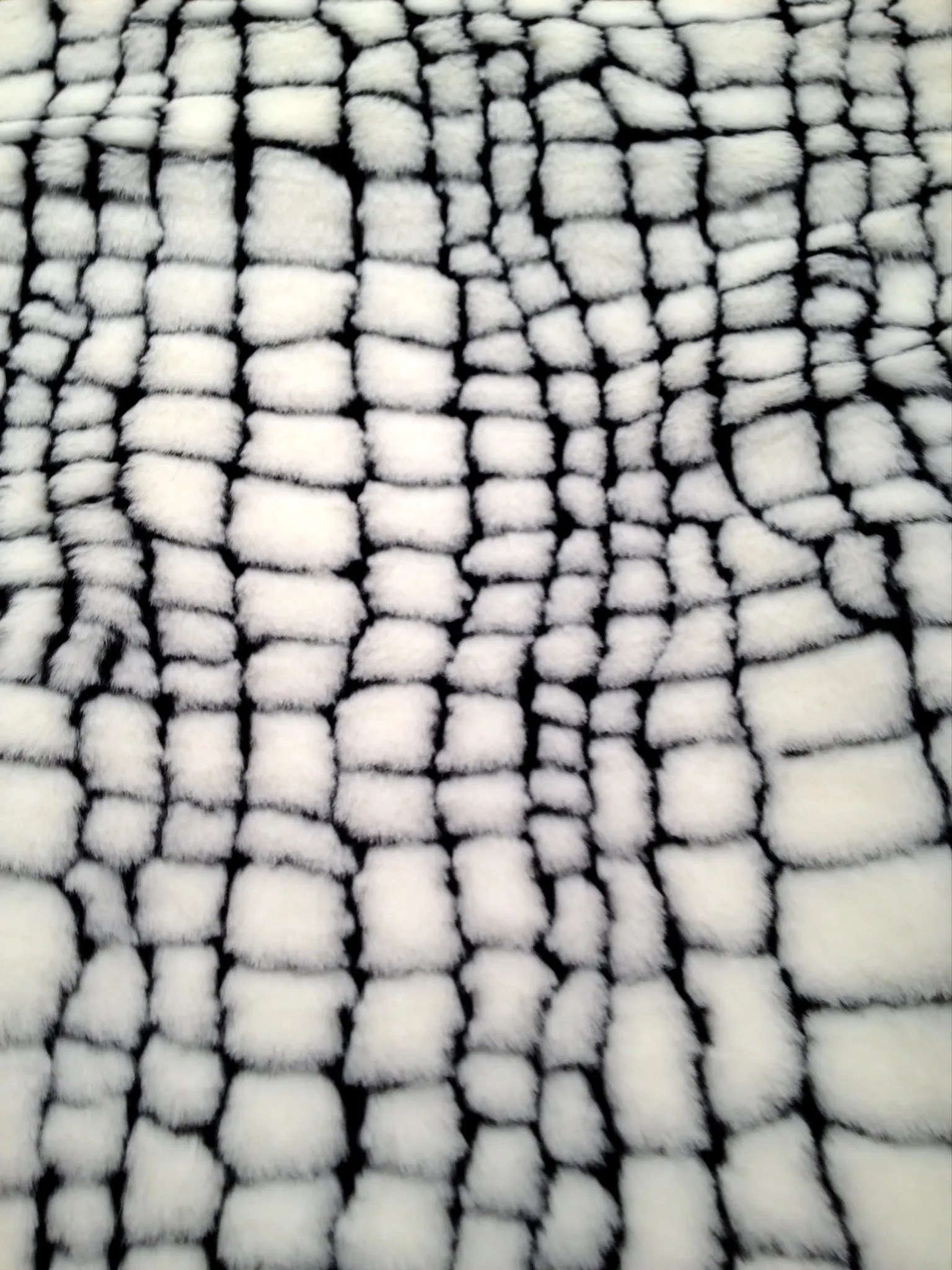 Fur Vest