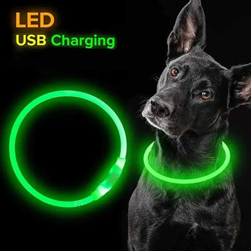 LED Dog Collar Luminous USB Rechargeable Pet Accessory