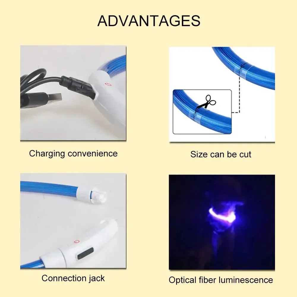LED Dog Collar Luminous USB Rechargeable Pet Accessory