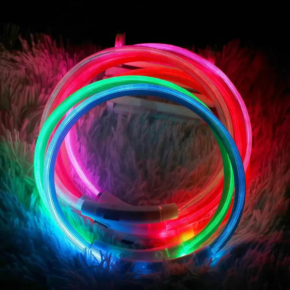 LED Dog Collar Luminous USB Rechargeable Pet Accessory