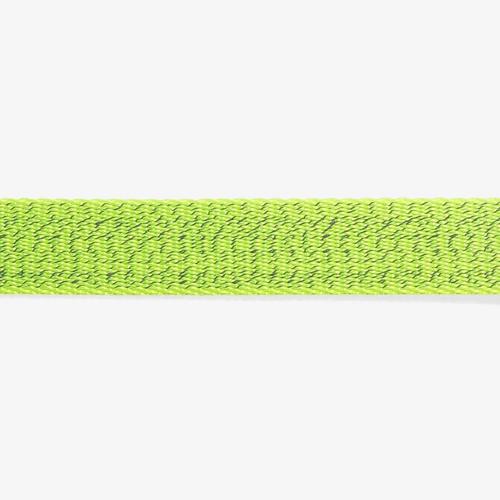 Nox Lumen Dog Collar