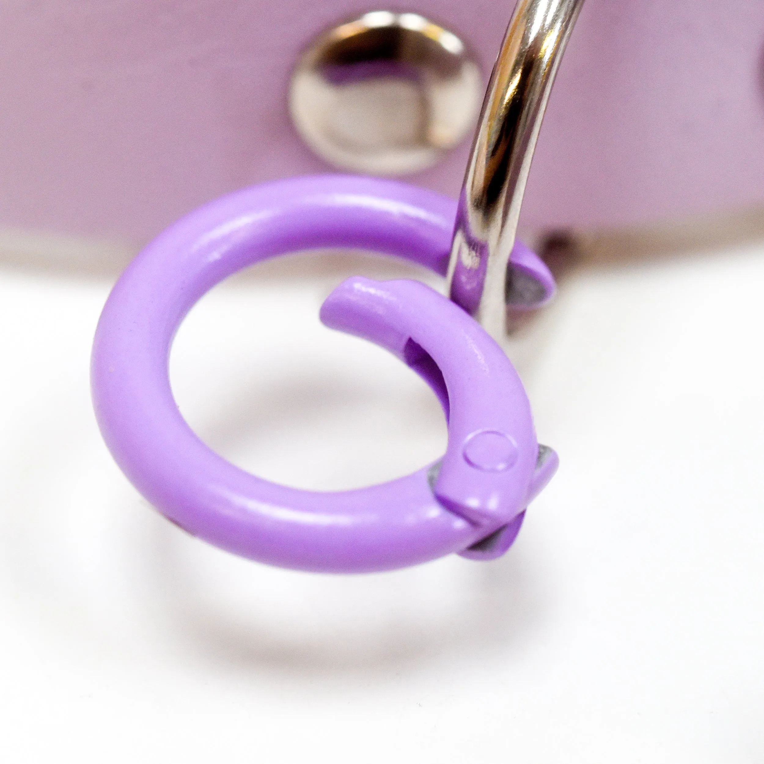 Pet Tag Round Collar Clip