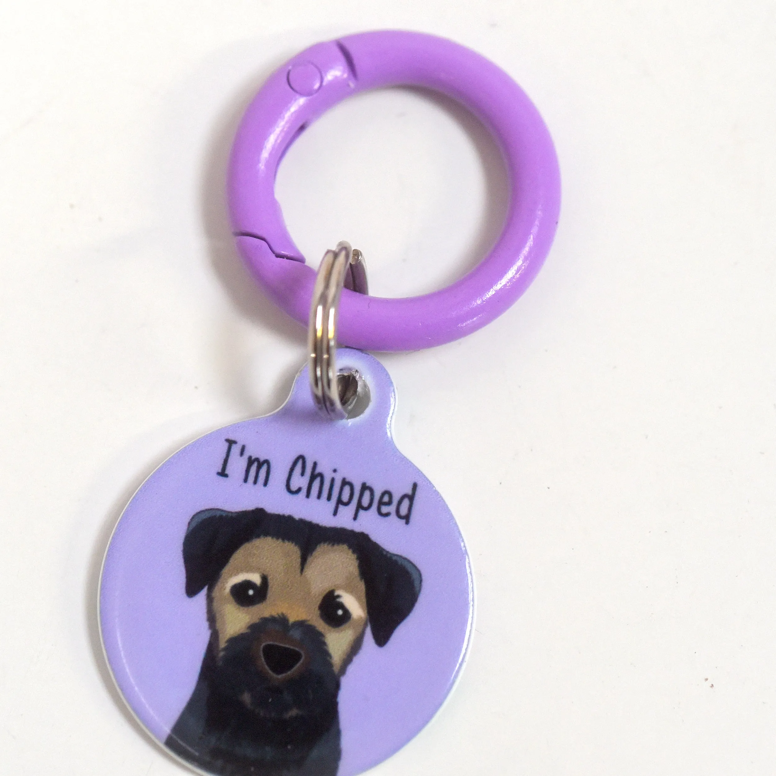 Pet Tag Round Collar Clip
