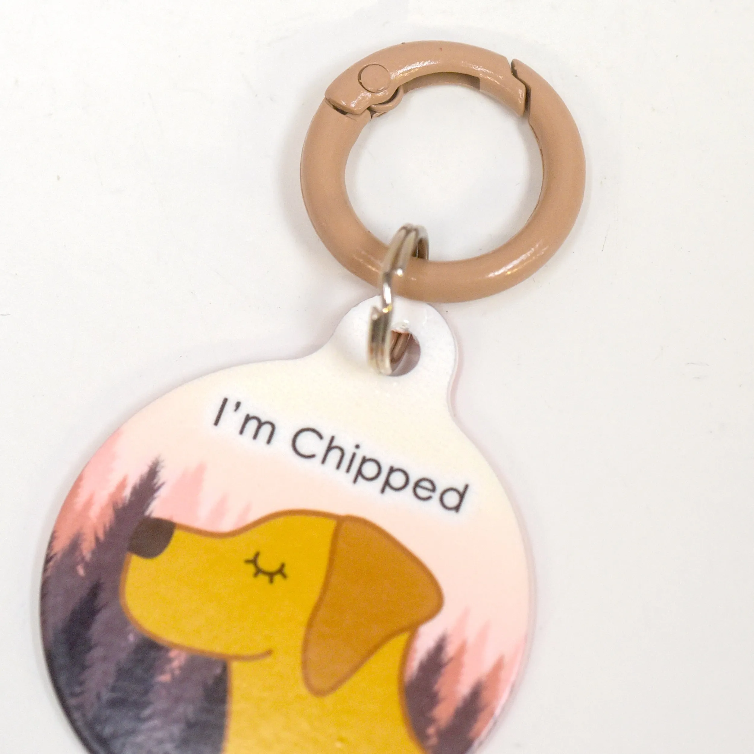 Pet Tag Round Collar Clip
