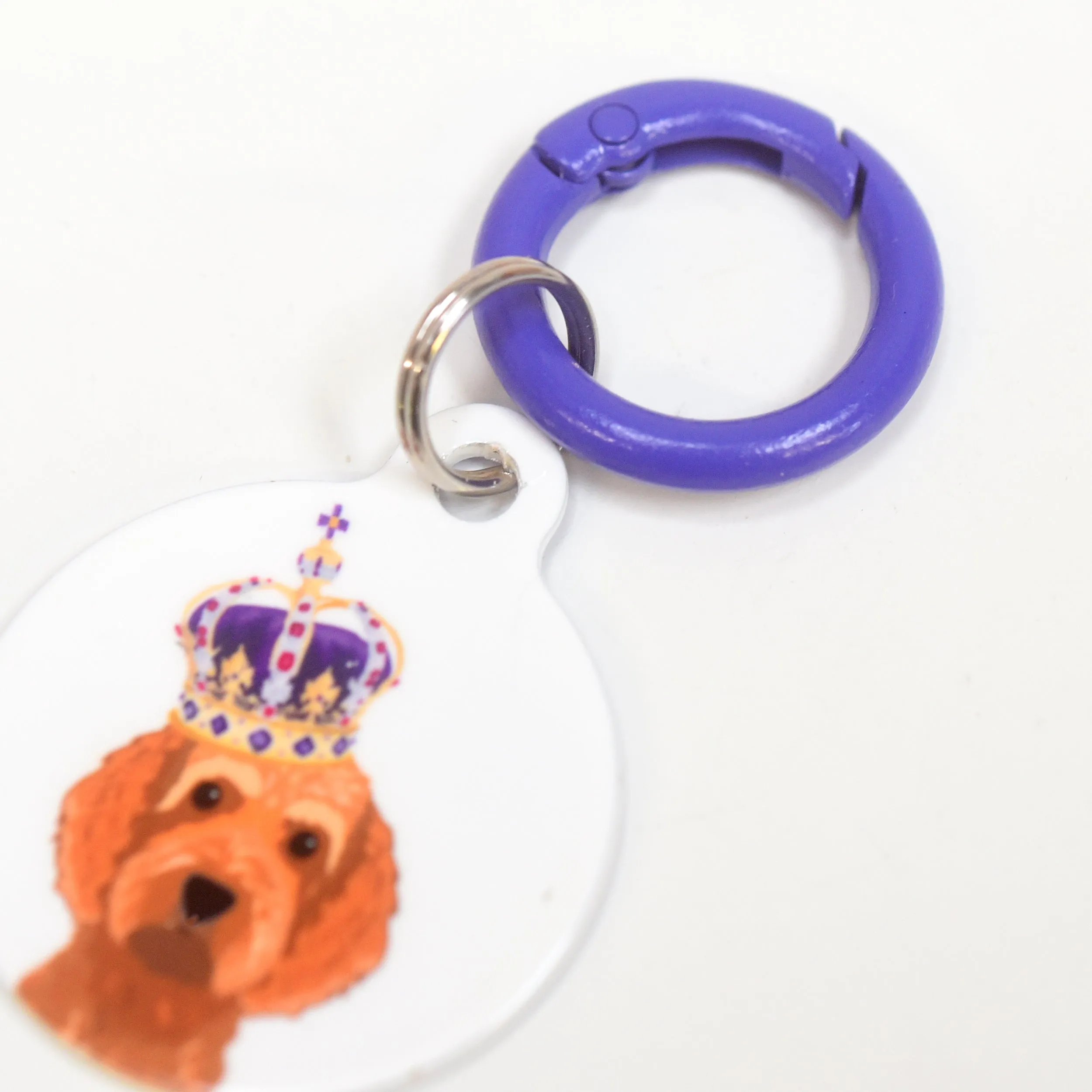 Pet Tag Round Collar Clip