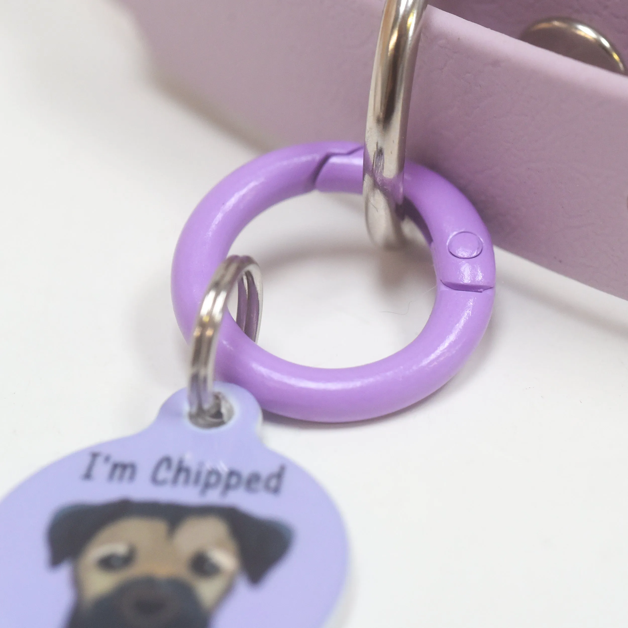 Pet Tag Round Collar Clip