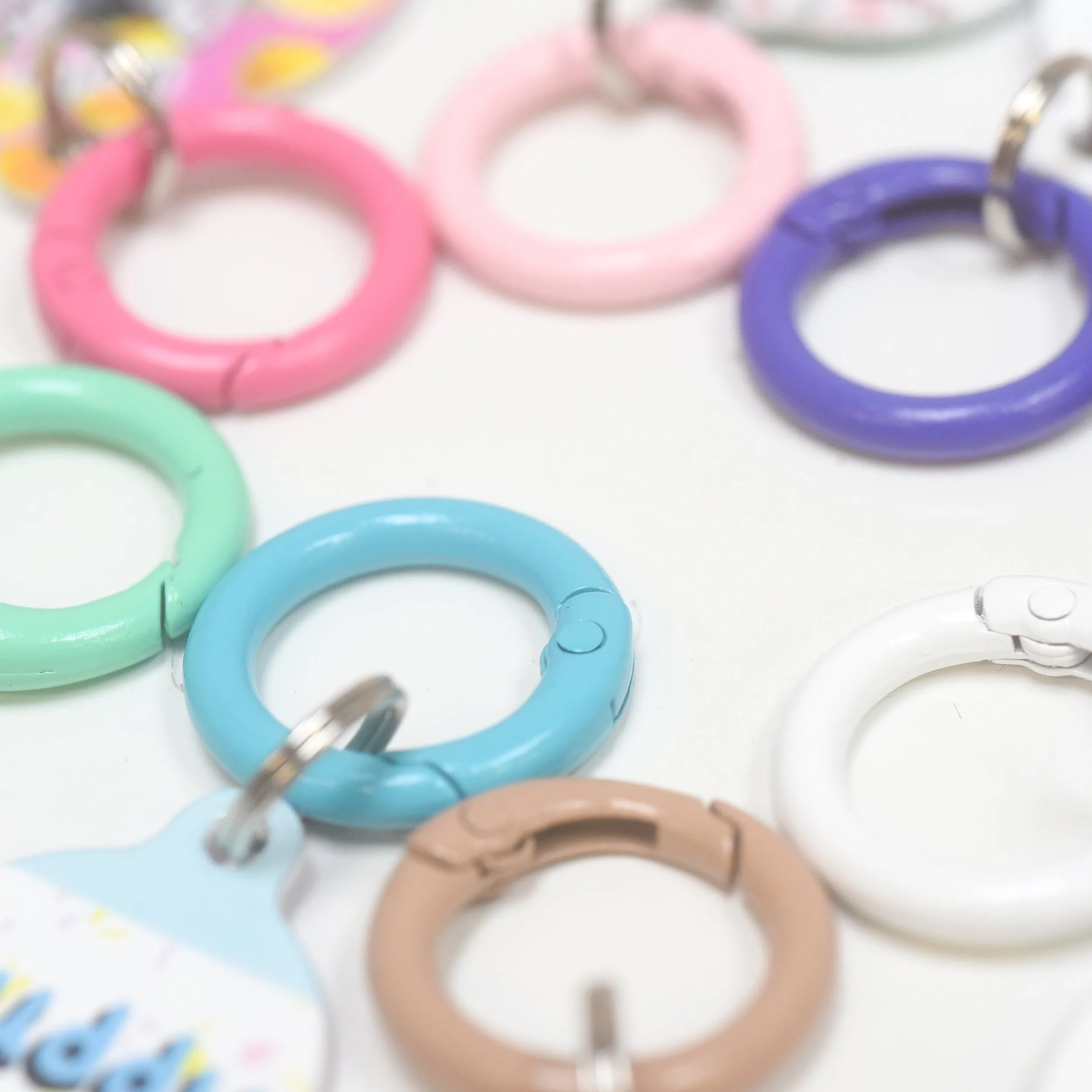 Pet Tag Round Collar Clip