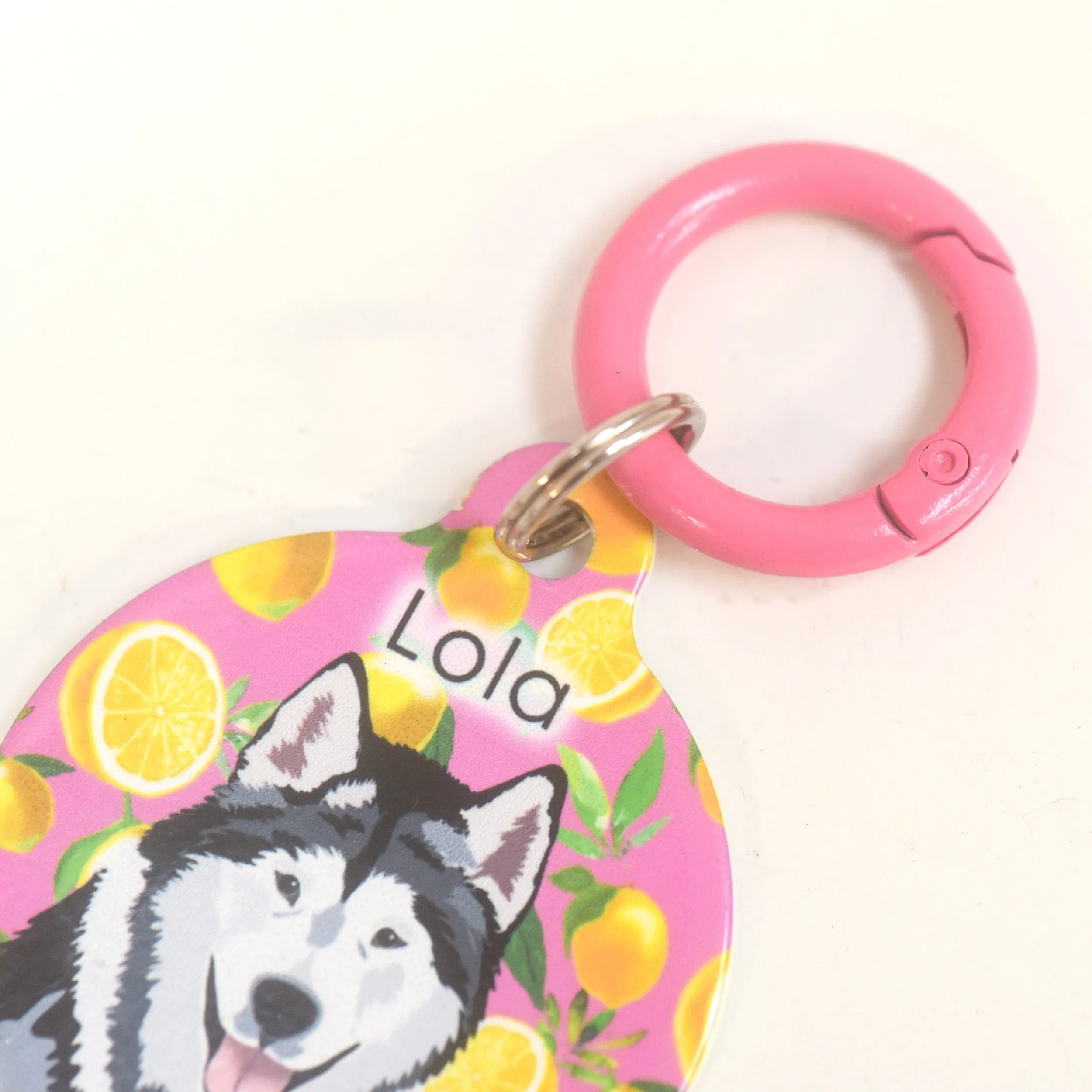 Pet Tag Round Collar Clip