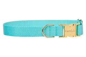 Seafoam Webbing Collar