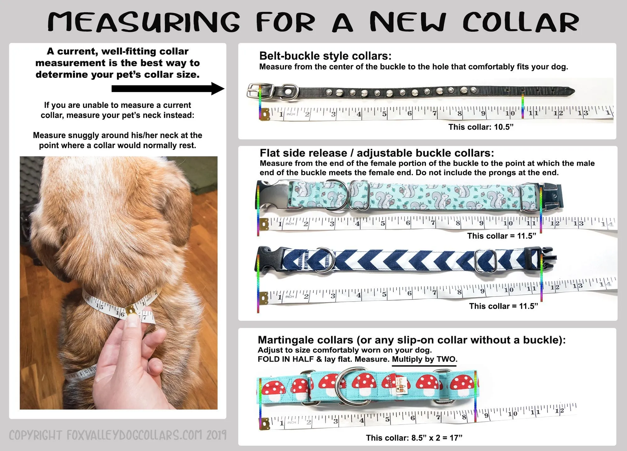 Sparkle & Bling Adjustable Buckle Dog Collar - 1" wide