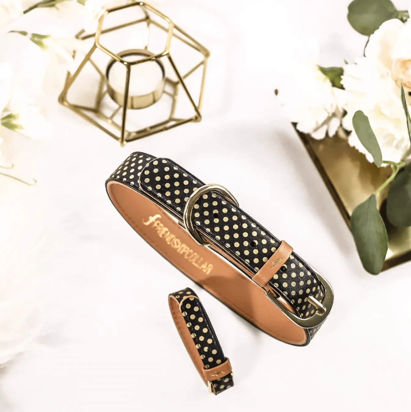 THE GILDED COLLAR COLLECTION