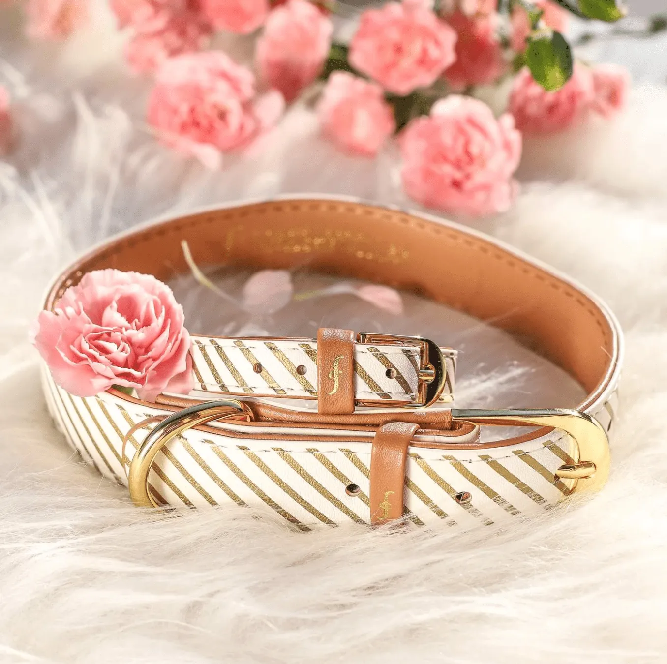 THE GILDED COLLAR COLLECTION