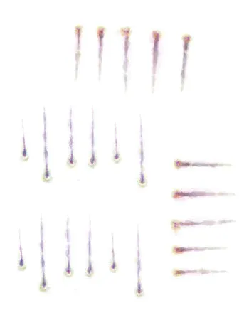 TRACK MARKS SET 1