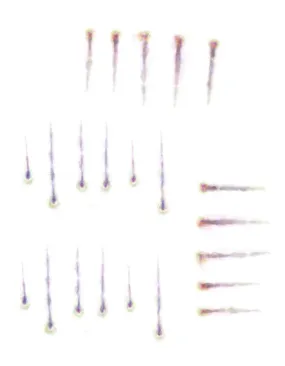 TRACK MARKS SET 1