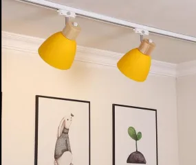 Versatile Iron Wood Track Lights for Retail Spaces