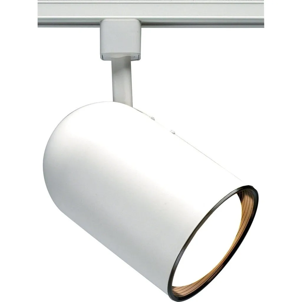 WHITE R30 BULLET CYLINDER