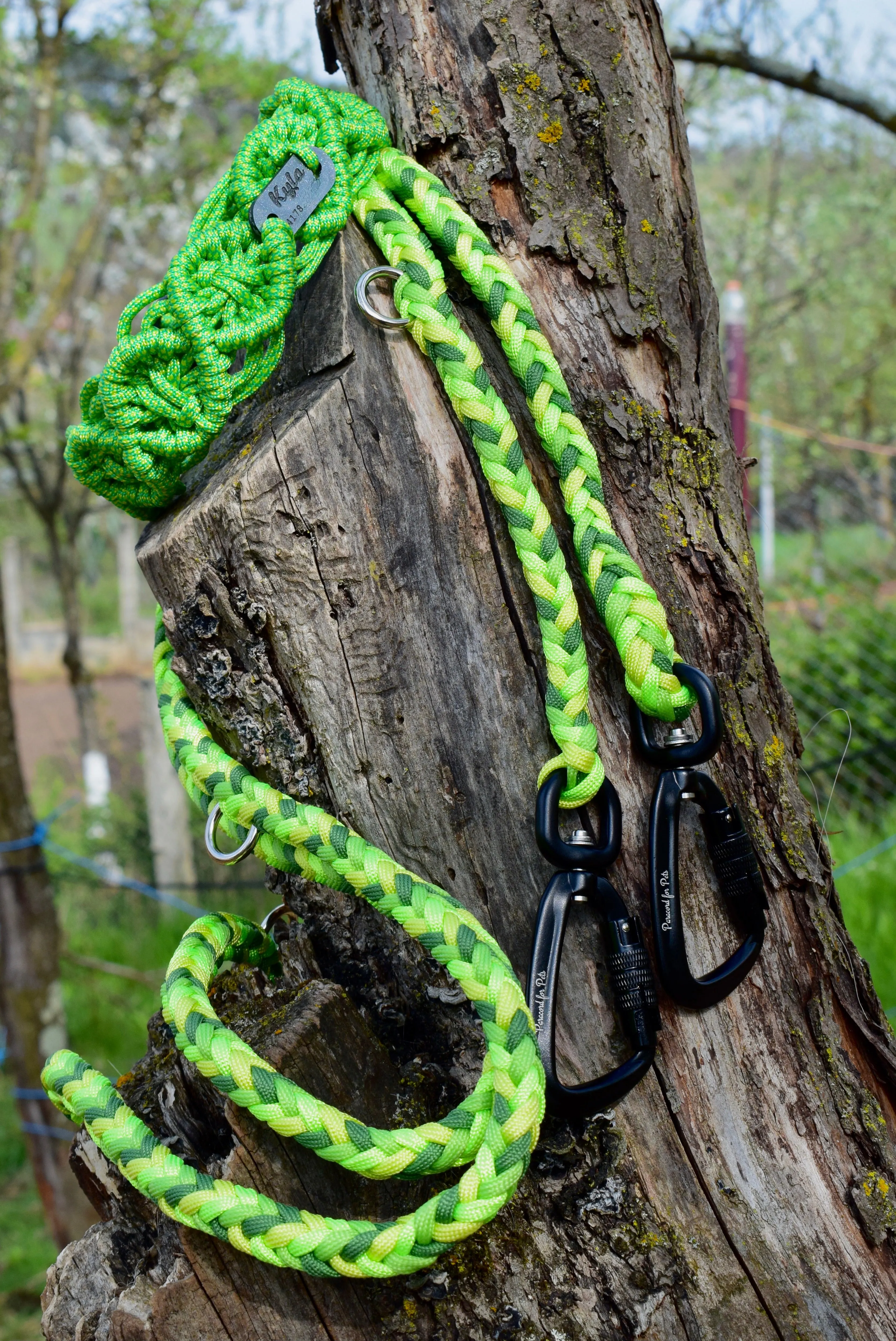 Zokni braid Dog collar
