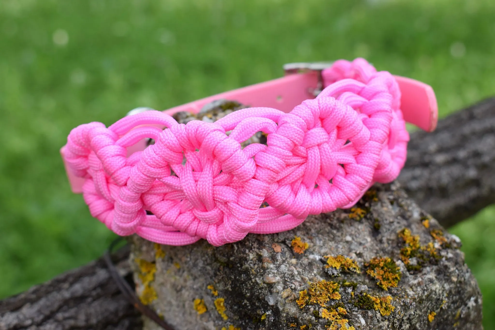 Zokni braid Dog collar