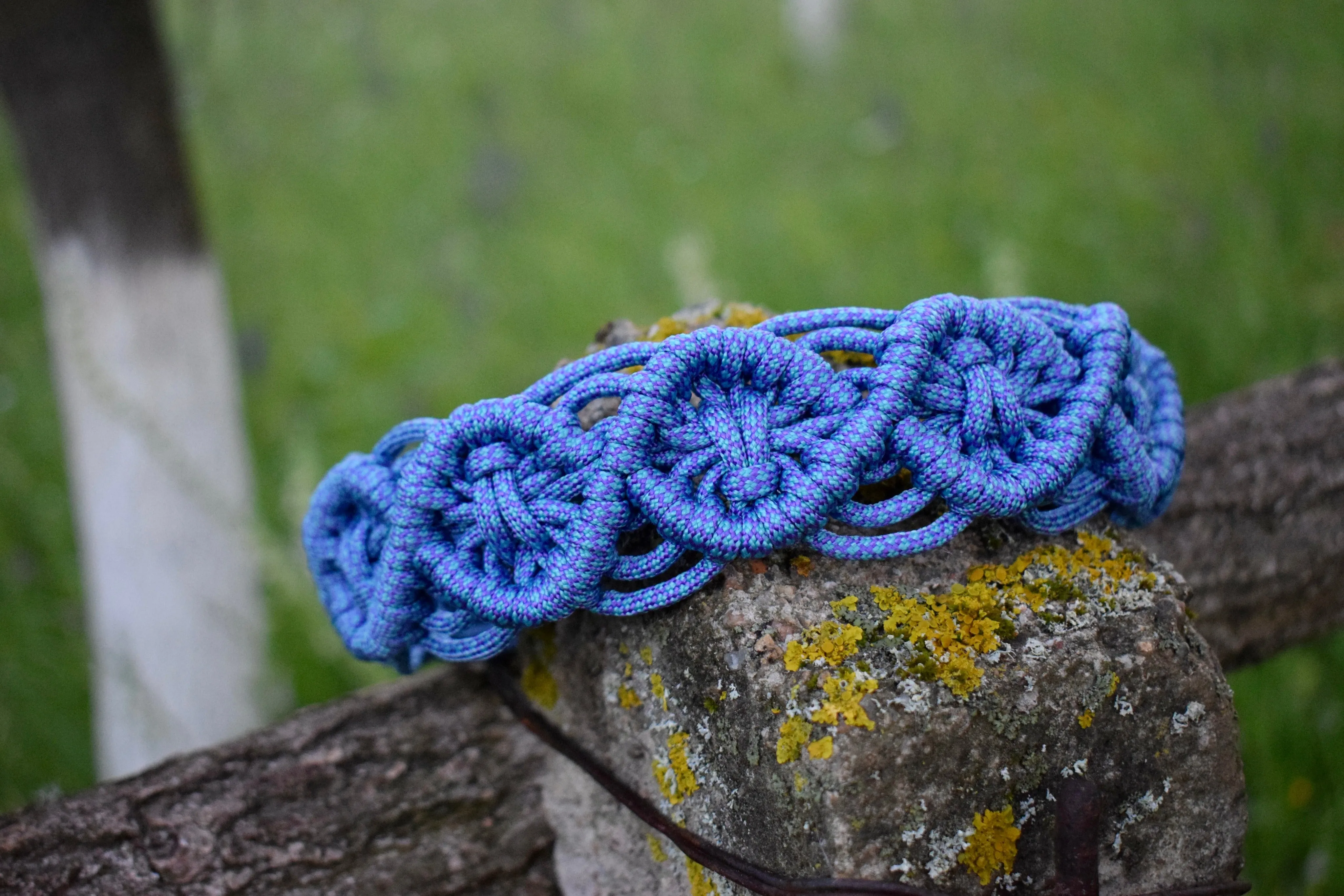 Zokni braid Dog collar