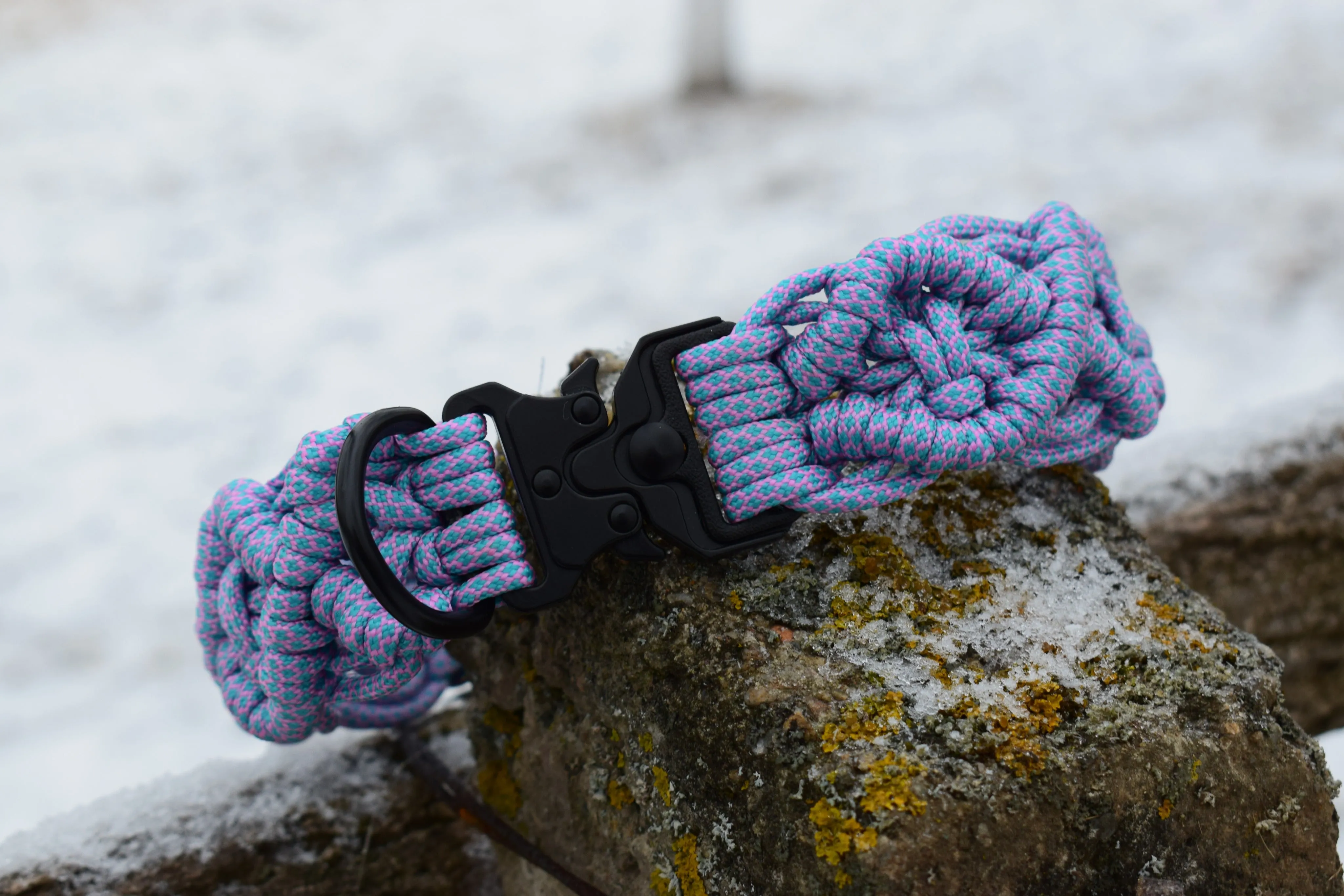 Zokni braid Dog collar