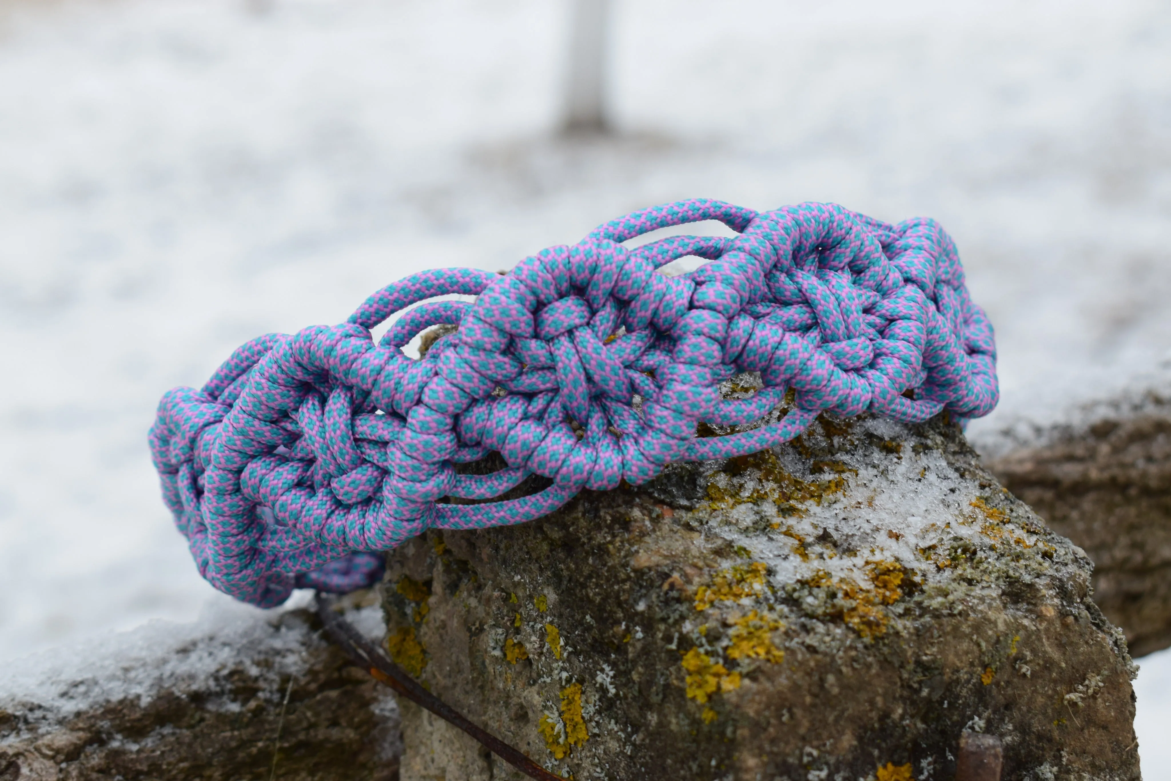 Zokni braid Dog collar